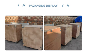 Máquina pulidora de coco joven mejorada para pulir cáscaras y tazas de coco, pulidora de coches, disponible en Coconut Creek - Product Image 5