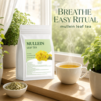 Kantong Teh Piramid Daun Mullein Kering 1g 30 Buah Infus Herbal Campuran Kelas Atas Mendukung Ketenangan dan Kenyamanan