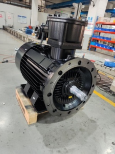 Motor a Prueba de Explosiones de Ultra Eficiencia IE5, 30% Menor Consumo de Energía, Ex E Ex <span class=keywords><strong>D</strong></span>, Retorno de la Inversión en 12 Meses - Product Image 5