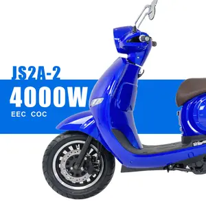 2 Wheeled High Speed Electric Scooter/Street Electric Motorcycle/Long Rang Adult Electric Moped