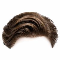 Prothèse capillaire pour homme Bio-skin, 100% cheveux humains vierges bruts, base en peau injectée, système de remplacement capillaire masculin indétectable, qualité salon