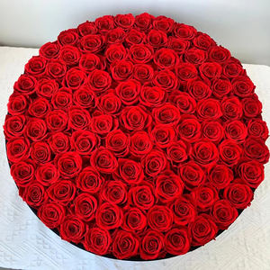 Regalos de <span class=keywords><strong>San</strong></span> Valentín 2024, Ideas de Regalo para el Día de <span class=keywords><strong>San</strong></span> Valentín 2024 para Mujer, Ideas de Regalo de Lujo para Cumpleaños 2024, Regalos de <span class=keywords><strong>San</strong></span> Valentín para Mujeres - Product Image 1