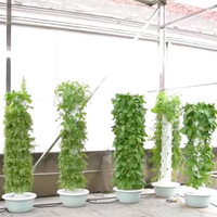 2026 OEM Systèmes de culture verticaux hydroponiques et aéroponiques commerciaux pour serres et jardins en tour