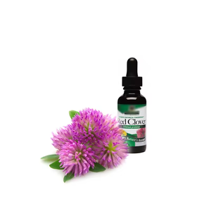 Biochanyin 100% alami ekstrak semanggi merah suplemen kualitas makanan bubuk Herbal budidaya liar kaleng dikemas - Product Image 3