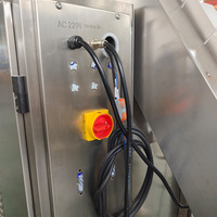 Machine d'emballage automatique de sachets de thé en maille de nylon en forme de pyramide avec scellage ultrasonique et remplissage d'azote pour la fraîcheur