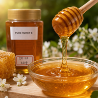 Pot carré en plastique de 360g de miel naturel avec couvercle doré – Miel pur doré pour le thé, le petit-déjeuner, la pâtisserie et la restauration