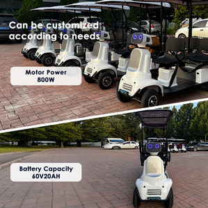 <span class=keywords><strong>Robert</strong></span> Series 800W Scooter eléctrico con freno electromagnético confiable 3 asientos para recorridos escénicos y recreación al aire libre - Product Image 6