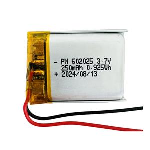 602025 isi ulang 302025 352025 402025 452025 502025 552025 602025 652025 V 3.7 mah Li Ion Lipo baterai polimer dengan Pcb - Product Image 2