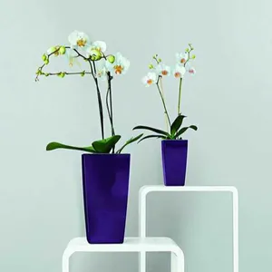 Top sale hotel office home desktop kitchen decor mini square flowerpot self wateing planter lechuza similar planter pot