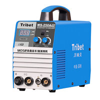 Machine à souder Tribet WS250A, nouvelle soudeuse TIG portable à moteur DC 250A 220V, cycle de travail 60%, épaisseur de soudage 0,5-4 mm