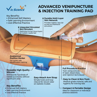 Modelo de Antebrazo para Punción Venosa con Venas Superficiales Visibles para Enfermeras, Prácticas de Inyección, Entrenamiento de Habilidades de Enfermería, con Certificación CE, ISO y ROHS