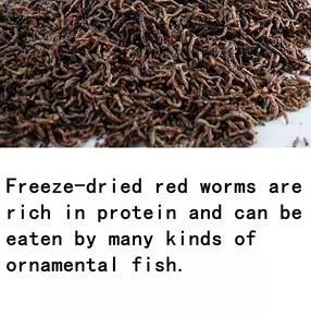 Premium Bloedworm Visvoer Met Hoog Eiwit Voor Aquariumvissen - Product Image 3