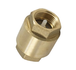 Válvula de Retención de Latón WCB de 2 Pulgadas con Resorte Bajo para Control de Flujo Unidireccional de Agua, Petróleo y Gas PN16 - Product Image 1