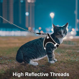 <span class=keywords><strong>Harness</strong></span> dan Tali Anjing Set, <span class=keywords><strong>Harness</strong></span> Vest Anjing Reflektif dan Tali, Tali Anjing yang Kuat dan Serasi - Product Image 4