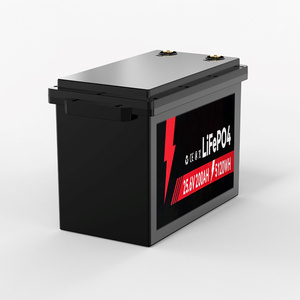 Kedatangan Baru Baterai LiFePO4 12V 314Ah Baterai Lithium Isi Ulang Pengiriman Lokal EU Stok Gudang Polandia - Product Image 1