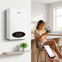 Chaudière électrique combinée 20 kW pour chauffage central et eau chaude sanitaire, chauffage domestique/sol, OEM/ODM, murale, avec WIFI