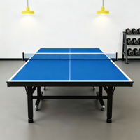 Table de ping-pong d'intérieur pliable, panneau standard, mobile avec roues et balles