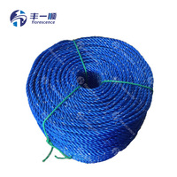 Corde en polyéthylène à 3 brins haute résistance 4mm 6mm 8mm 10mm pour la pêche marine