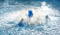 Aérateur à impulsion 2HP, générateur d'oxygène, boule flottante, en plastique, prix abordable, vente chaude