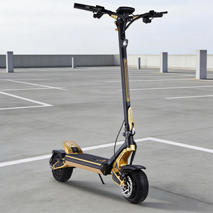 Big Two Wheel Off Road Foldable for Adults Self-Balancing Scooters 48V Scooter Price - Product Image 1