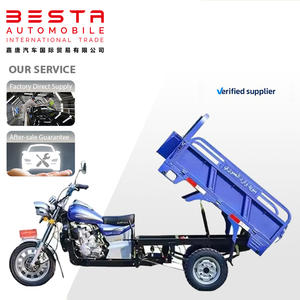 מנוע הפוך ממונע תלת-אופן ממונעת באיכות גבוהה 400 ק "ג מטען לכל שטח חוצה גבולות - Product Image 5