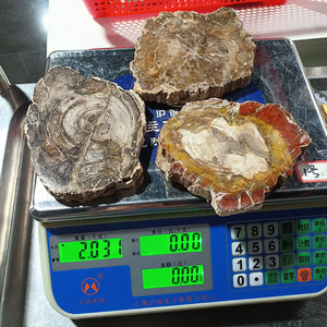 شرائح خشب متحجر طبيعي، أحجار كريمة للريكي، فوسيل خشبي بأحجام غير منتظمة للشفاء والجمع - Product Image 6