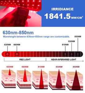 Chaleco de terapia de luz roja física LED portátil Flexible probado clínicamente, dispositivos médicos de longitud de onda para masaje corporal de espalda - Product Image 6