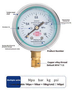 Oem standart gaz su hava yağ basınç göstergeleri dijital yakıt hidrolik basınç göstergesi <span class=keywords><strong>test</strong></span> lastik veya hidrojen basıncı kullanılan - Product Image 3