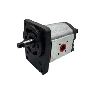 Bomba de Aceite para Engranajes Hidráulicos Serie PLP <span class=keywords><strong>PLM</strong></span> PLP30 PLP10 PLP20 PLM20, Modelo PLP20.16-5435-L**/BC/20.14-LBM/BC-S7, 1 Año de Garantía, 15 kg - Product Image 2