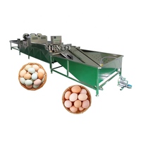 Ligne de production de poudre d'oeufs d'approvisionnement d'usine/machine de séchage par pulvérisation de poudre d'oeufs/machine de poudre d'oeufs