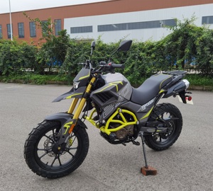 CHINA <strong>MOTORCYCLES</strong> <strong>250CC</strong> <strong>MOTORCYCLE</strong> FUEGO <strong>TEKKEN</strong> 250 No.22060601 - Product Image 3