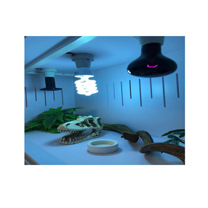 Toptan cam kapi pet üreme kafesleri PVC sürüngen vitrinler kertenkele gecko pythons sakallı dragons sürüngen muhafazaları - Product Image 3