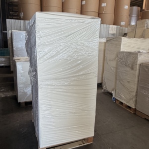 Feuilles de papier PE haute densité enduites, en rame jumbo, de qualité alimentaire, pour l'impression flexographique et les supports vierges pour gobelets en papier - Product Image 1