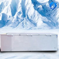 Équipement de réfrigération pour cuisine commerciale, congélateur horizontal, grande capacité, congélateur coffre professionnel pour cuisine, congélateur profond