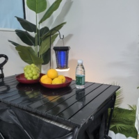 Solaire Bug Zapper Extérieur Étanche, Portable Antiparasitaire Électrique Mosquito Zapper Killer avec Panneau Capteur, Rechargeable Insecte