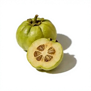 สารสกัดจากผลส้มแขก Garcinia Cambogia แบบผง HCA 50% ยอดขายสูงสุด เกรดอาหารเพื่อสุขภาพ สกัดด้วยสารละลาย ราคาดีที่สุด - Product Image 6