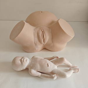 نموذج تدريب قِبالة متقدم نموذج تعليمي للولادة البشرية نموذج تفرير بشري - Product Image 3