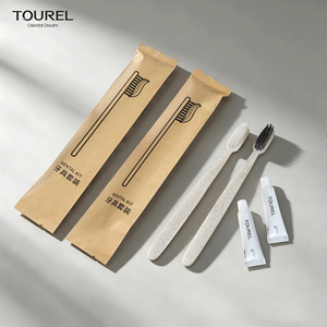 Lot de produits de toilette jetables biodégradables pour hôtels, avec sac en papier kraft, brosse à dents en paille, peigne, et logo personnalisé pour hôtels - Product Image 2
