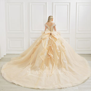 Robe de bal de Quinceañera Princesse Champagne, style princesse, avec décolleté cœur, appliques en dentelle, broderies, sequins, couleur bonbon et traîne chapelle, élégante - Product Image 5