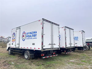 Camion de livraison d'aliments pour animaux HOWO, neuf, diesel, manuel, 40 tonnes, 8x4, vente directe usine - Product Image 3