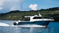 Catamaran de luxe de 10 m en aluminium, fabriqué en Chine, avec console centrale, pour la pêche sportive en haute mer - En vente