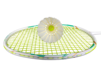 LINGSHANG LS700 Volants de badminton en plumes d'oie de qualité A+ Durabilité supérieure