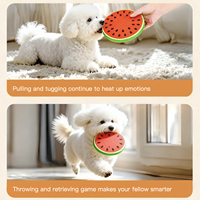 Jouet interactif pour chien en peluche, grande pastèque plate, résistant aux morsures, durable et qui couine