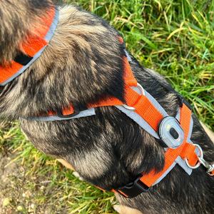 Chaleco de entrenamiento de diseñador personalizado sin tirones, <span class=keywords><strong>correa</strong></span> de pecho <span class=keywords><strong>para</strong></span> mascotas, arneses tácticos de agilidad antitirones con acolchado suave <span class=keywords><strong>para</strong></span> <span class=keywords><strong>perros</strong></span> grandes - Product Image 3