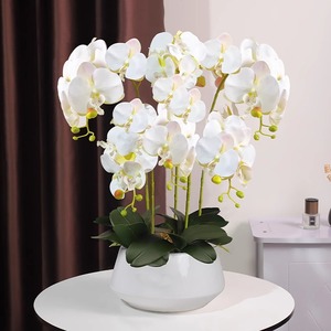 Orchidea artificiale in <span class=keywords><strong>vaso</strong></span> Orchidea finta pianta in <span class=keywords><strong>vaso</strong></span> Orchidea artificiale in <span class=keywords><strong>vaso</strong></span> all'ingrosso EG-X008 <span class=keywords><strong>fiori</strong></span> di orchidea artificiale con <span class=keywords><strong>vaso</strong></span> - Product Image 5