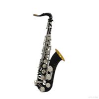 Eastern Music TS300FTH 80-II Carbon Black Body Superior Quality Brass Woodwind Instrument Bb Tone Tenor Saxophone Performance