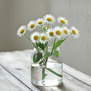 Alto borosilicato piccolo <span class=keywords><strong>vaso</strong></span> di vetro trasparente Mini <span class=keywords><strong>vaso</strong></span> di vetro per la decorazione della tavola per la casa <span class=keywords><strong>vaso</strong></span> minimalista - Product Image 1