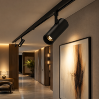 Rail magnétique LED super fin de 5 mm, éclairage sur rail réglable en aluminium, 6W COB LED, luminaires sur rail intelligents pour plafond, pour bureau/boutique/atelier