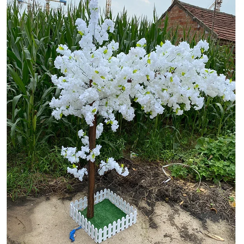 Cerisier blanc 04