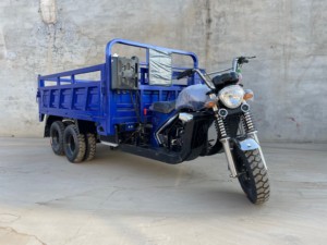 Moto cargo à <span class=keywords><strong>neuf</strong></span> roues de 300 cm³ la plus vendue avec fonction d'auto-déchargement. Moto à essence Open Freight pour usage extérieur - Product Image 3